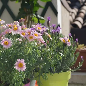Bed & Breakfast In The Heart Of, Verona